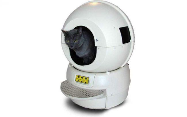 Inodoro automático para gatos