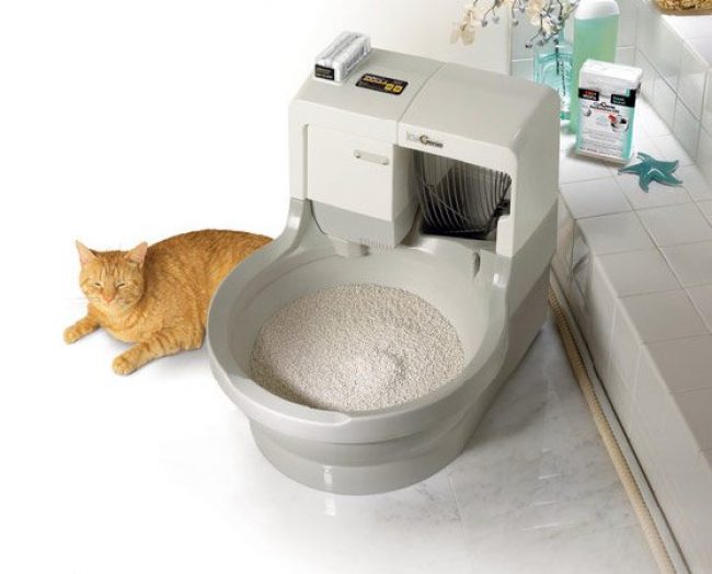 Inodoro automático para gatos