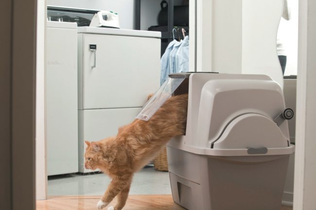 Inodoro automático para gatos