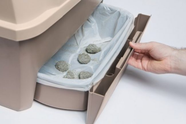 Inodoro automático para gatos