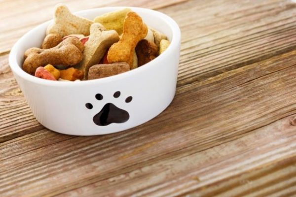 Comida para perros