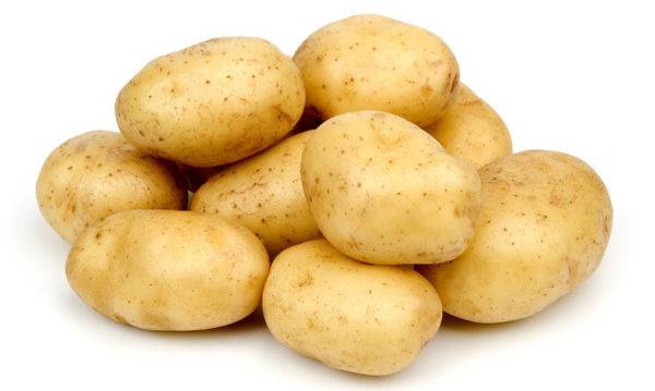 Papas para perros