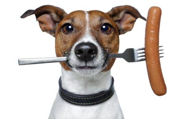 Salchicha para perros