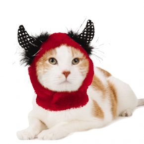 gato en un sombrero
