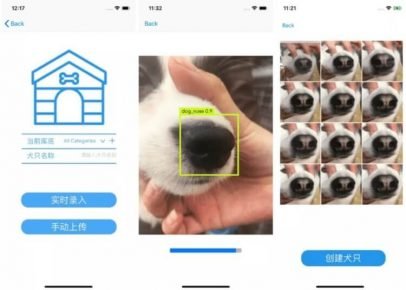Programa de búsqueda de perros