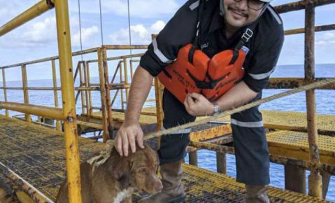 Hon Vitisak con un perro rescatado