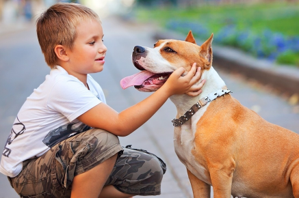 Niño con un pit bull