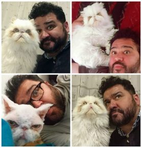 el gato más grande del mundo
