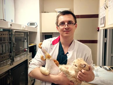 Veterinario con jengibre