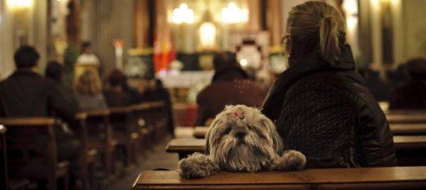 Perros en la religión