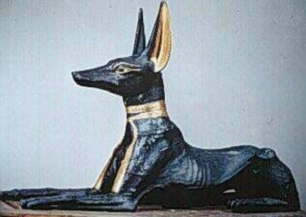 Perro y religión